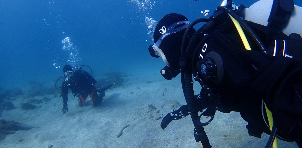 セルフダイビングイメージ